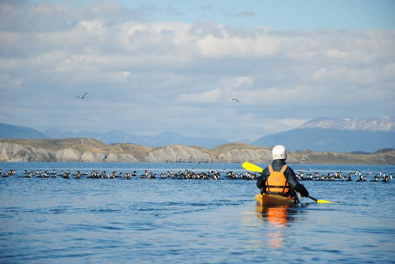 Kayaking through the Beagle Channel