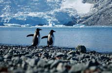 Excursión a la Antártida en avión