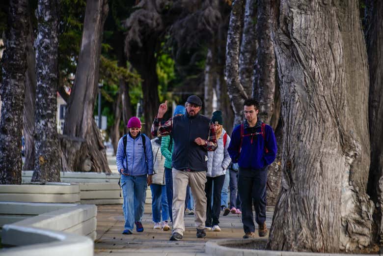 Atravesaremos las arboledas de la ciudad