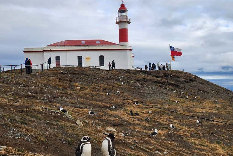 El emblemático faro de la isla Magdalena