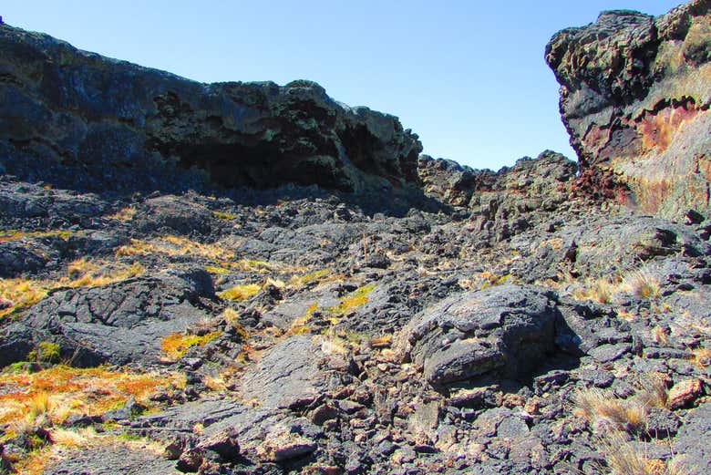 Paisaje rocoso del parque