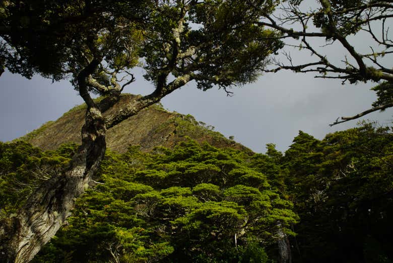 Immerse yourself in nature
