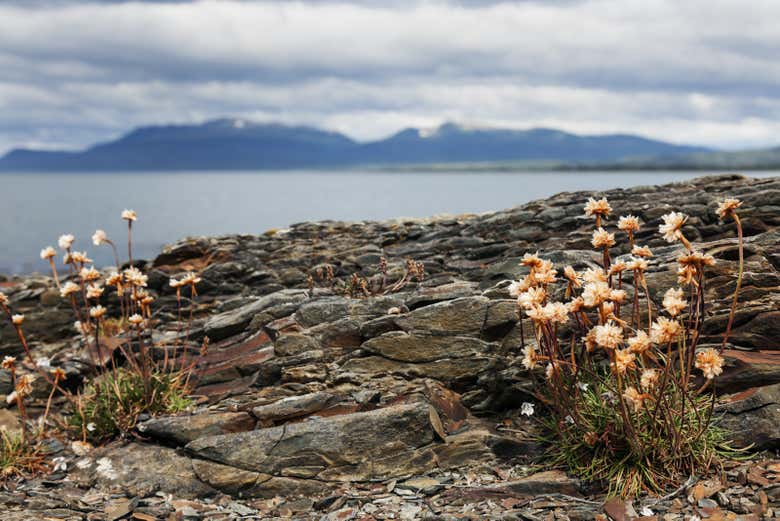 Sail the Strait of Magellan