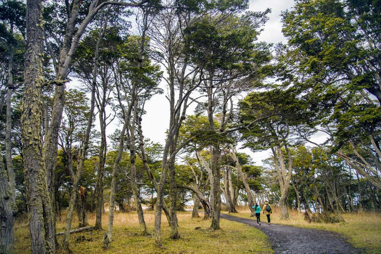 Explorando los alrededores
