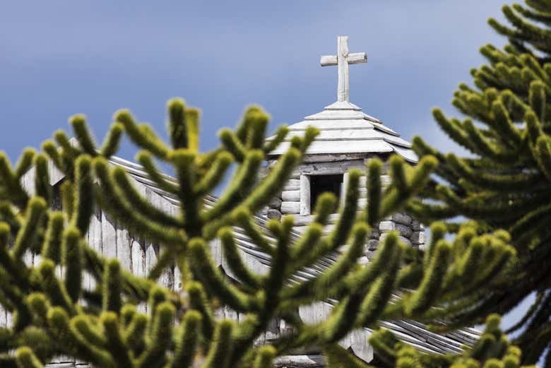 Vegetación circundante al Fuerte Bulnes