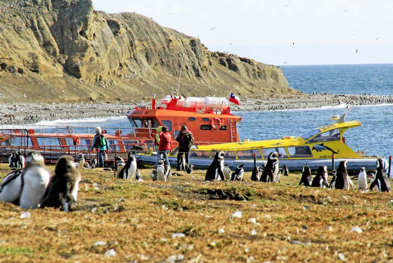 Exploring Magdalena Island