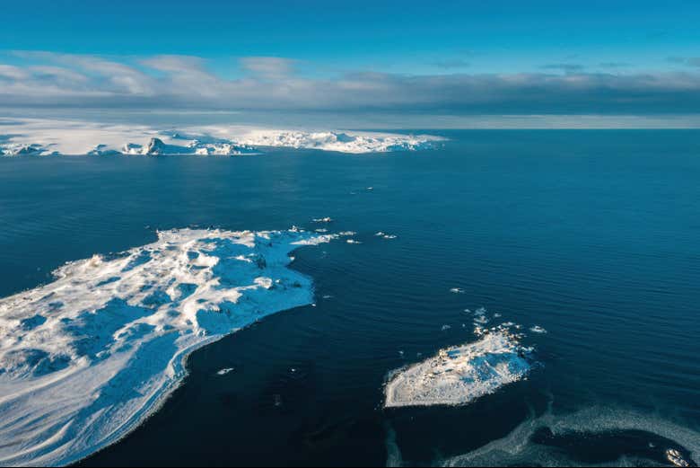 Iremos hasta la isla Ardley