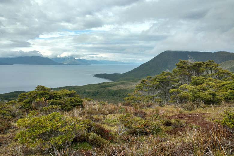 Vistas al estrecho de Magallanes