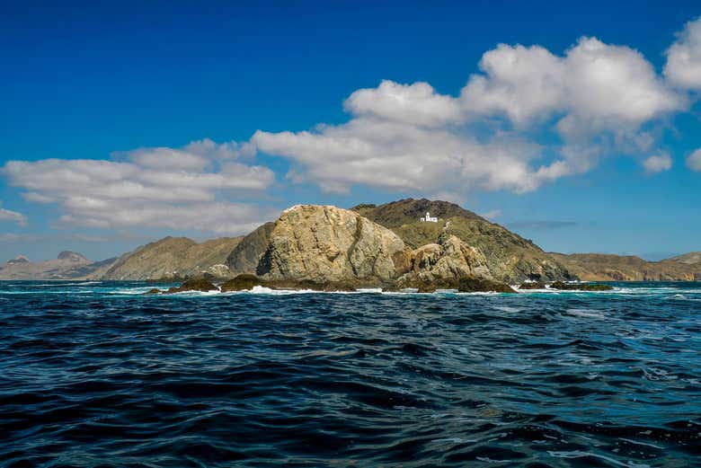 ¡Bienvenidos a la isla Magdalena!