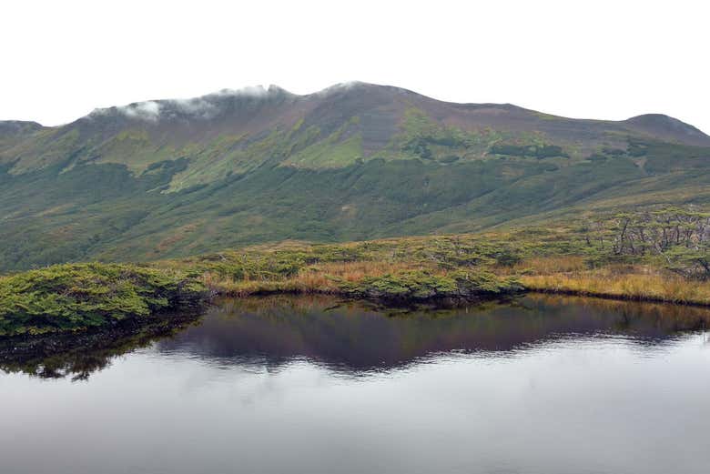 Monte Tarn