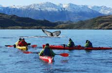 Tour en kayak por el estrecho de Magallanes + Avistamiento de ballenas