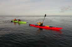 punta arenas free tour Strait of Magellan Kayaking Tour