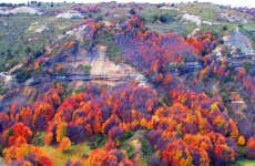 punta arenas free tour Magallanes National Reserve Tour