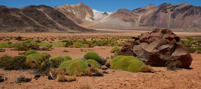 Escursione alle montagne colorate di Suriplaza
