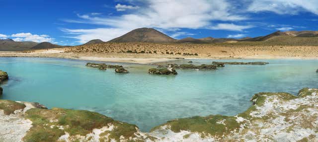 Escursione alla salina di Surire