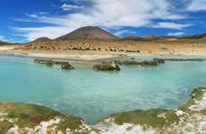 Excursión al Salar de Surire