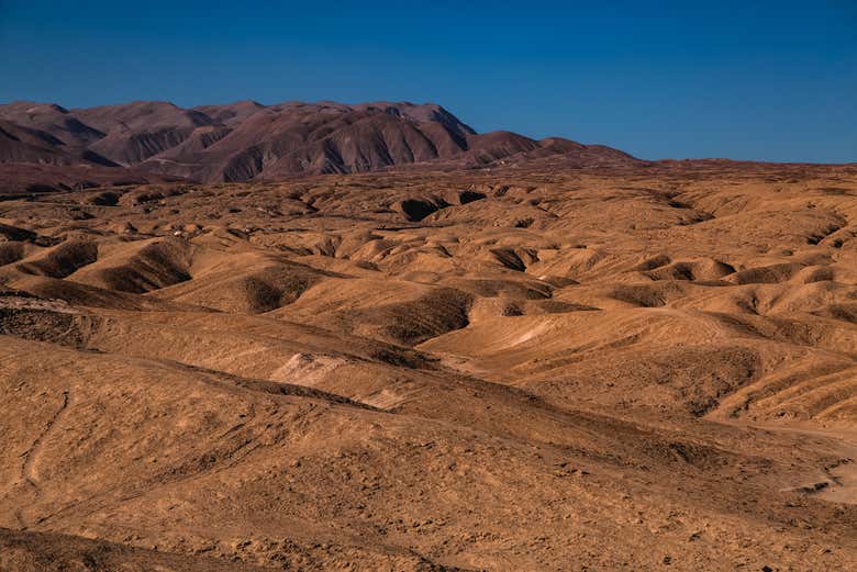 Désert de Parinacota