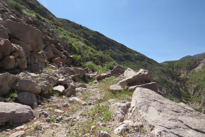 Paisagens de Willacaurane
