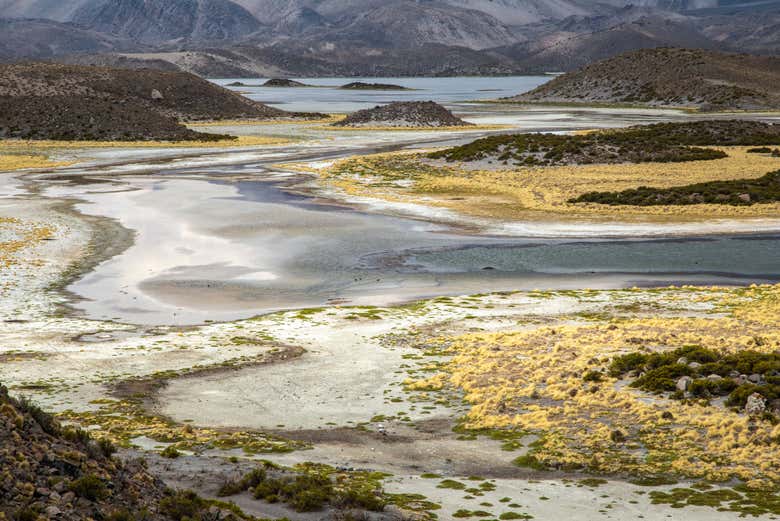 Vue panoramique des lagunes de Cotacotani