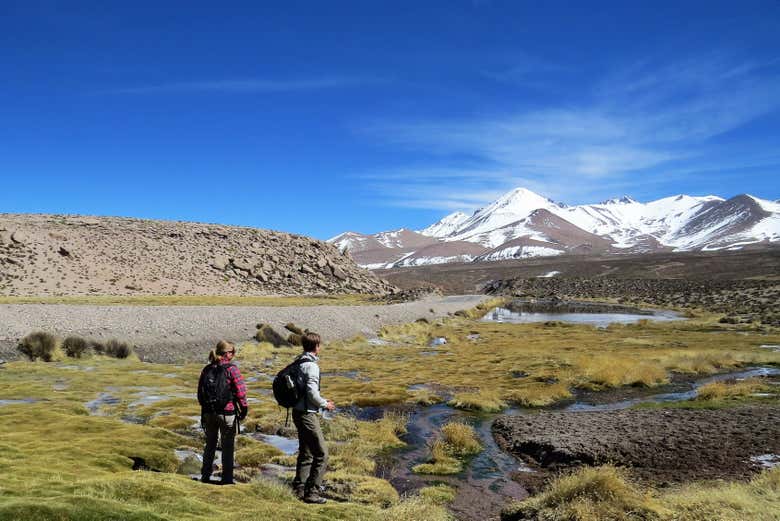 Admiring the Suriplaza Colourful Mountains