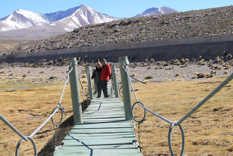Visiting the Lauca National Park