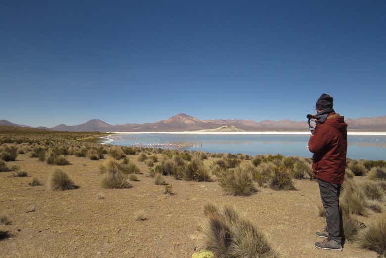 Visitez le Salar de Surire