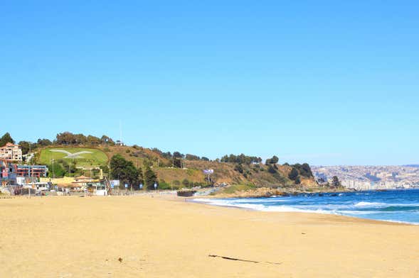 Free tour por Reñaca