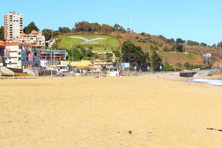 Playa de Reñaca