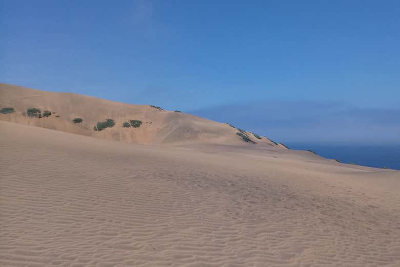 Concón's sand dunes