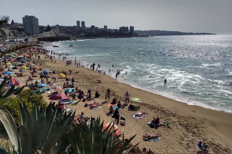 Caleta Abarca, en Viña del Mar
