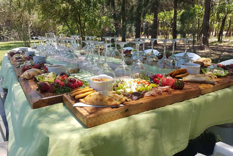 Disfrutando de un rico almuerzo campestre