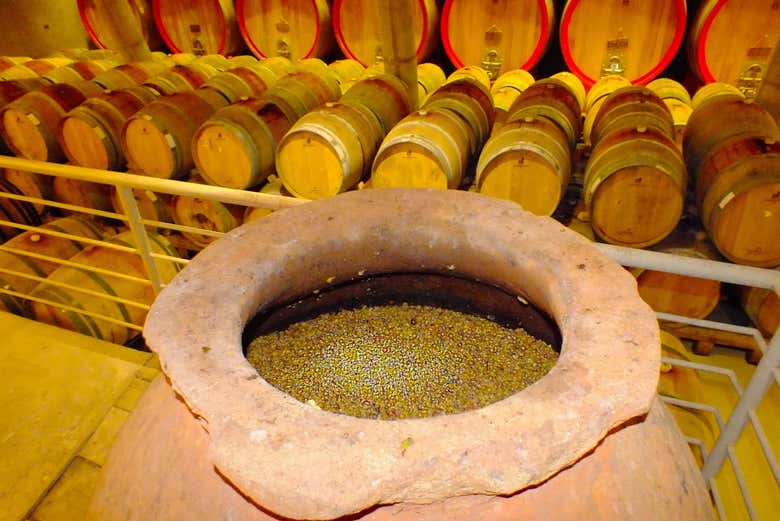 Botti di vino di Isla de Maipo