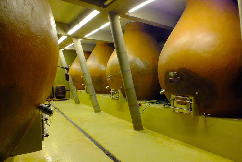 Azienda vinicola di Isla de Maipo