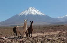 Trilha com lhamas + Cerimônia ancestral no deserto de Atacama