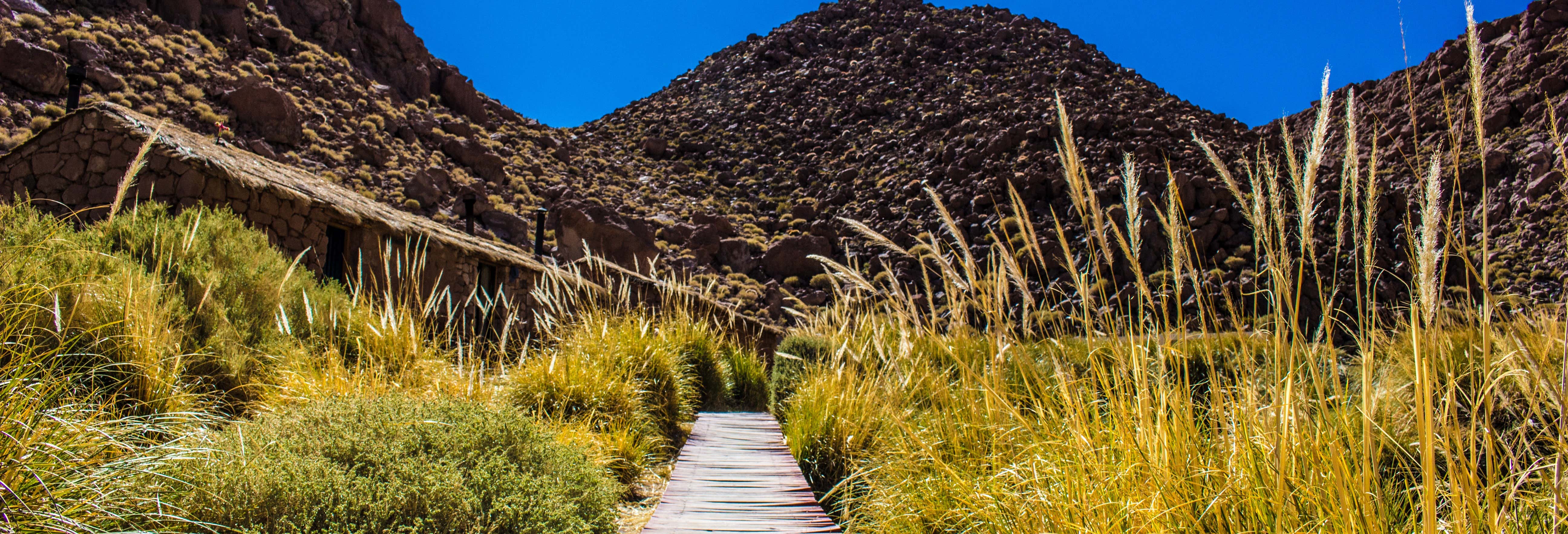 Excursions d'une journée depuis San Pedro de Atacama