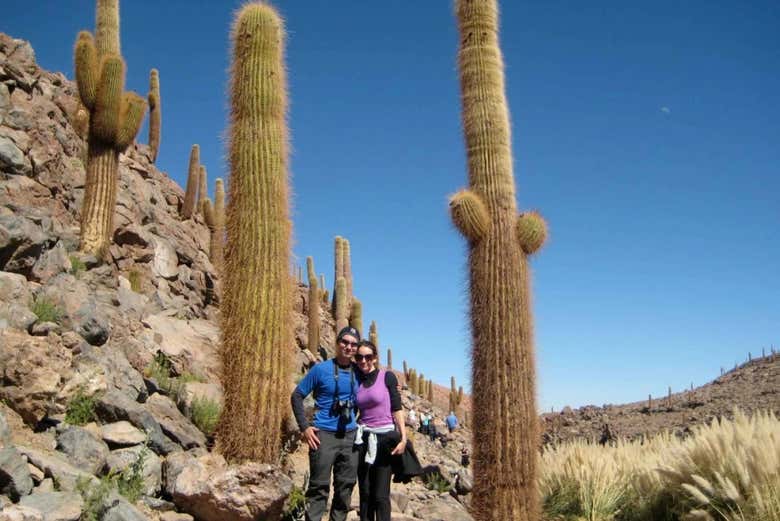 Look at the century-old cacti!