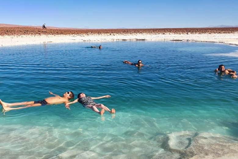 Excursión a las Lagunas Escondidas de Baltinache desde San Pedro de Atacama