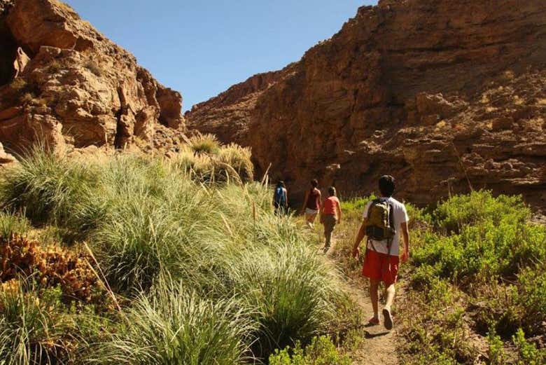 Hike through unique landscapes