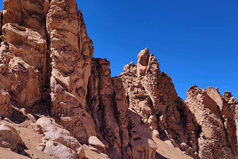 Monjes de La Pacana