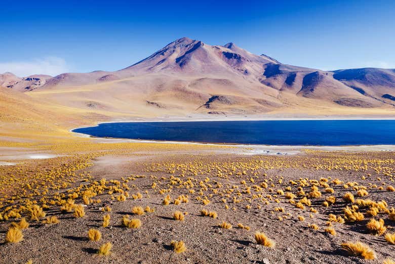 Lagoa Miscanti e vulcão Miñiques