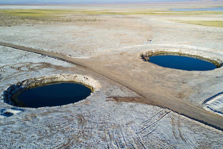 Ojos del Salar