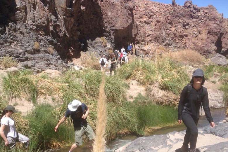 Enjoy this hike through Purilibre to the Vilama River