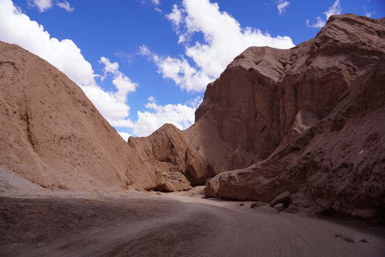 Recorriendo paisajes áridos y cañones del desierto de Atacama