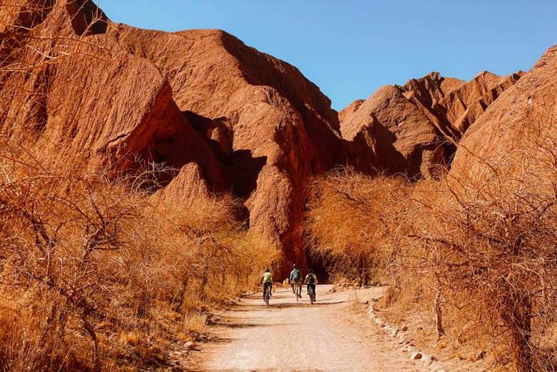 Avanzando en bicicleta junto a imponentes formaciones rocosas