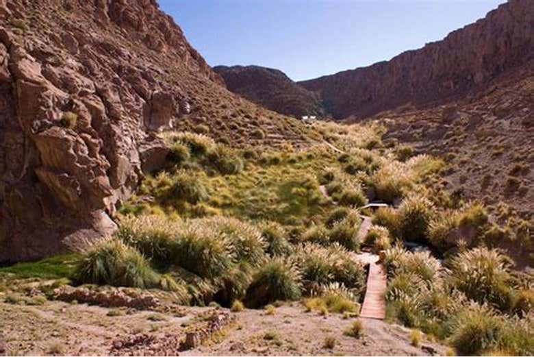 A paisagem árida de Purilibre