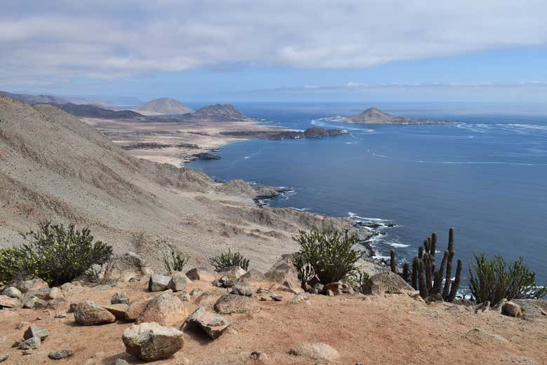 Vistas panorámicas del Parque Nacional Pan de Azúcar