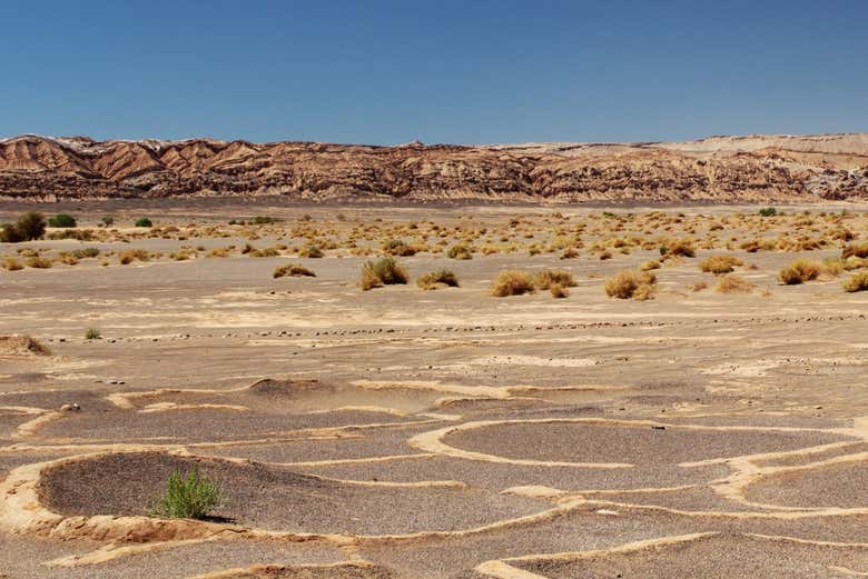 Yacimiento arqueológico de Tulor