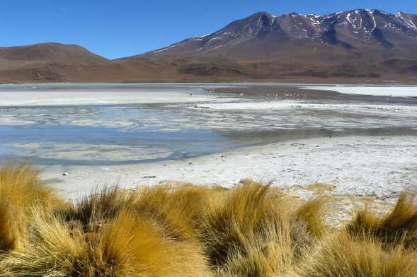 Salt Flats Route