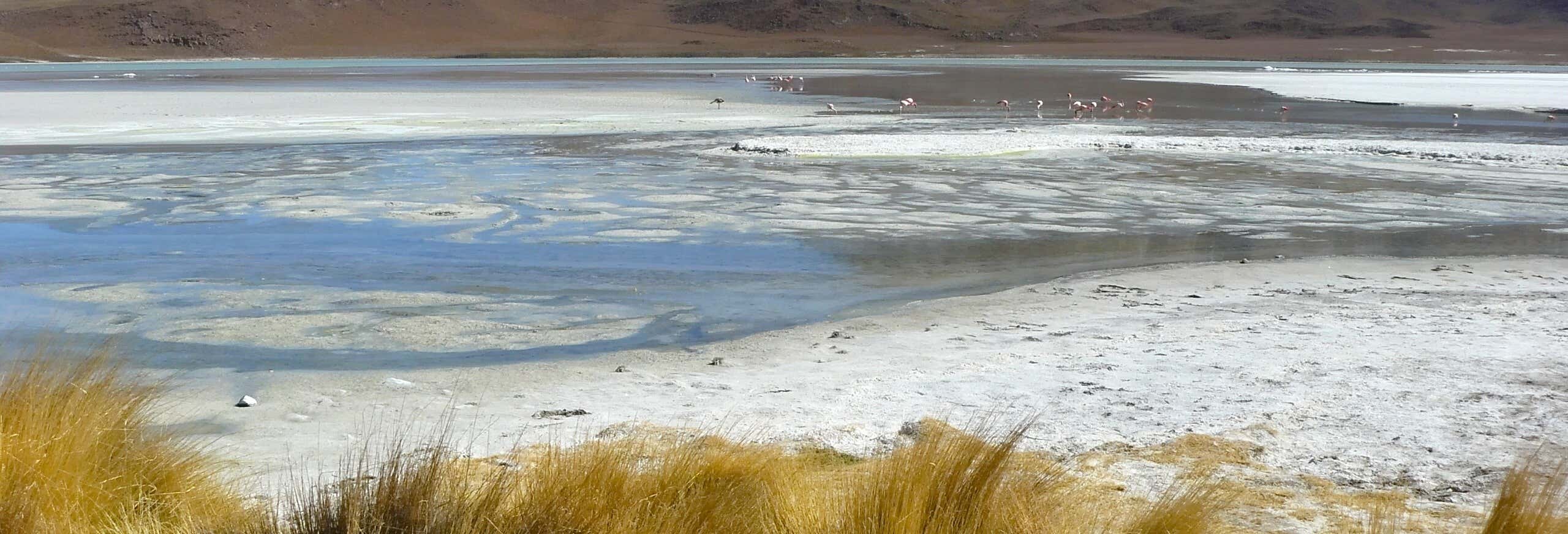 Excursión de un día en San Pedro de Atacama