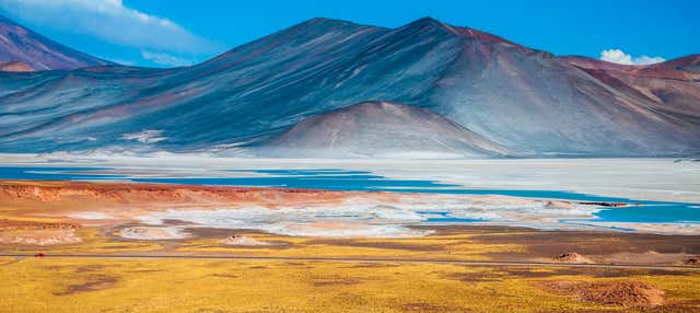 Piedras Rojas, Salar de Atacama y lagos del altiplano
